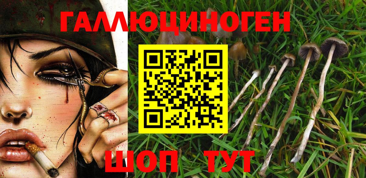 Тобольск  Псилоцибиновые грибы прущие грибы  купить закладку  Вход с VPN 